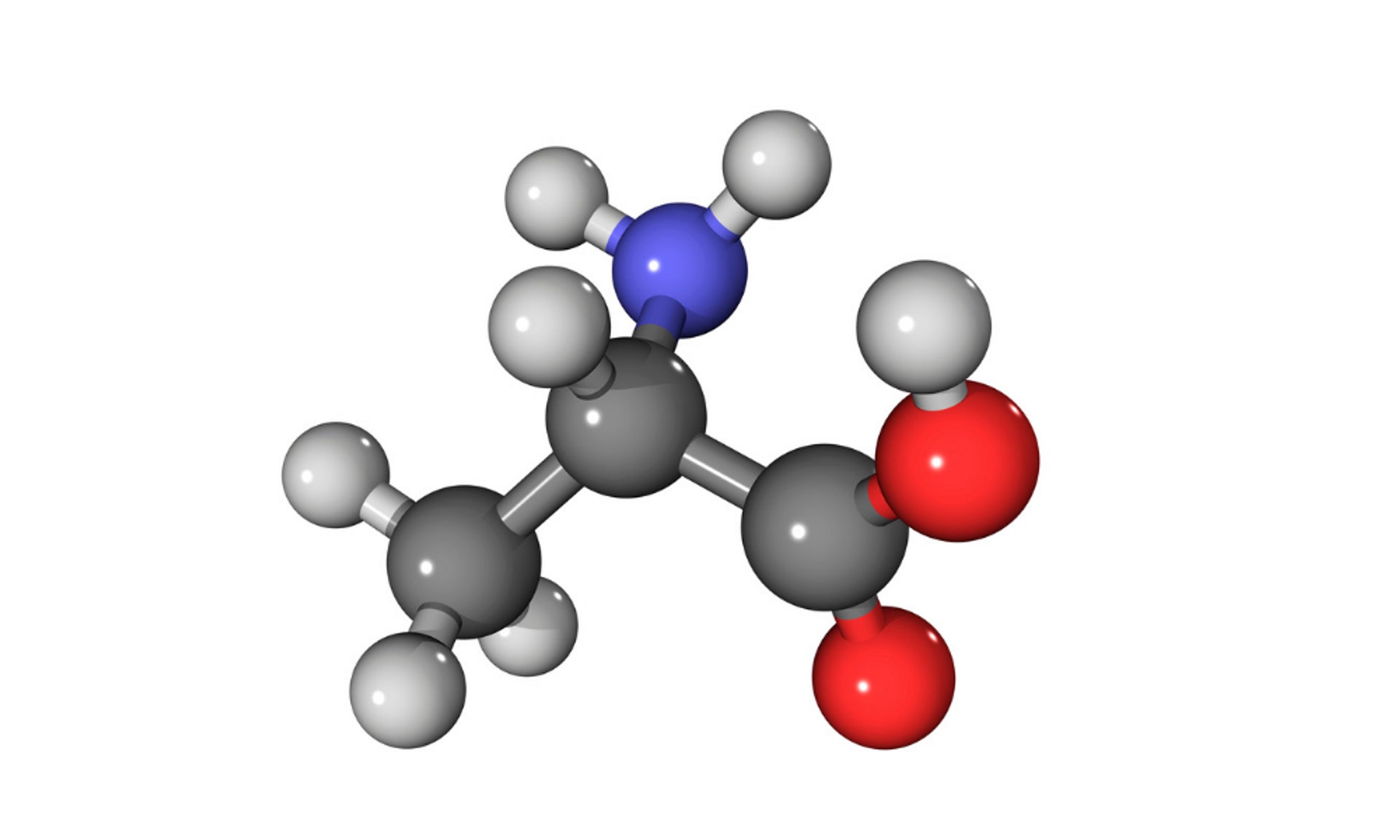 Beta Alanine